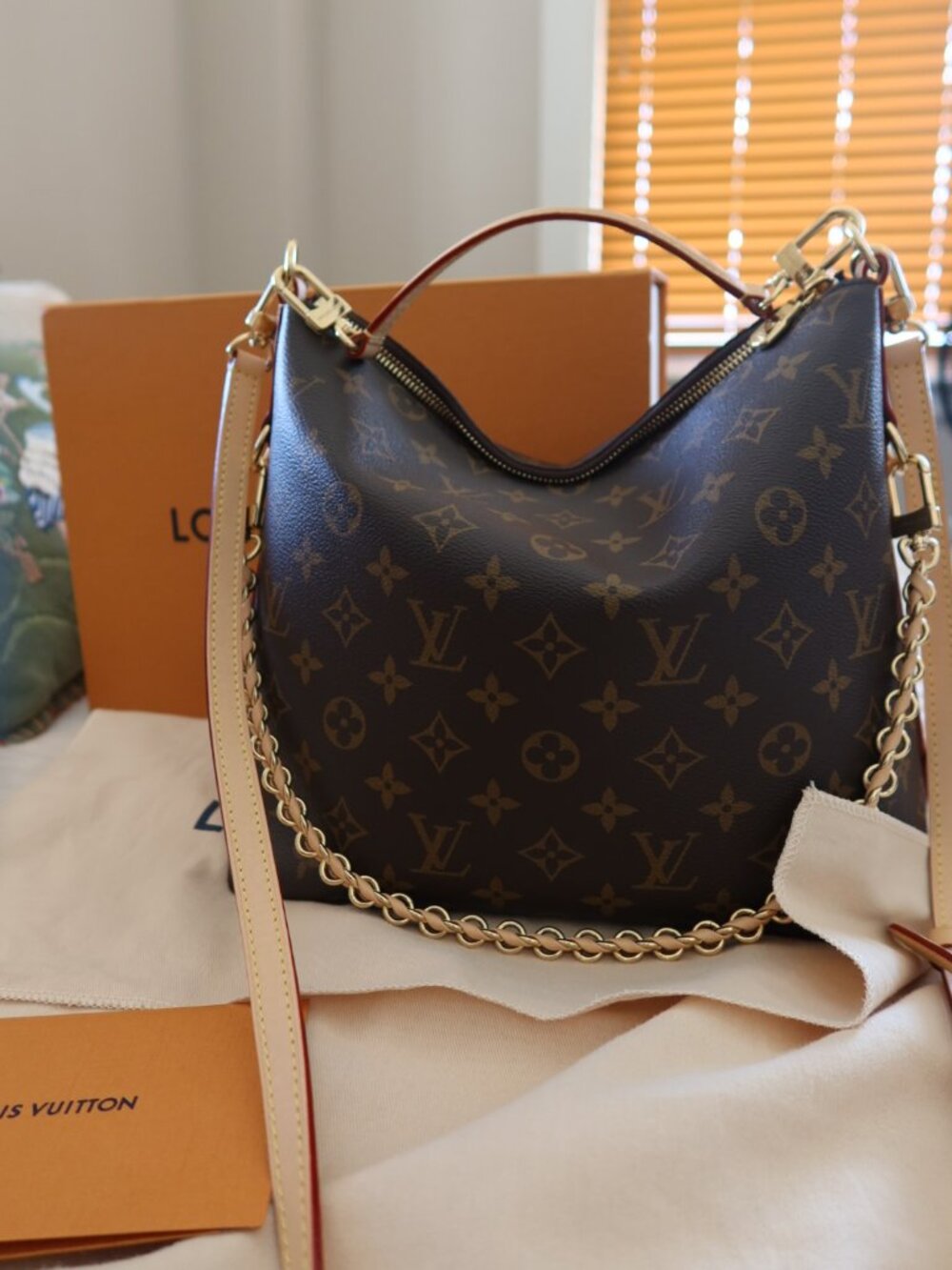 Louis Vuitton Monogram Multipass 2026